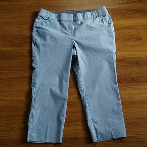 NWOT Lane Bryant capris. Size 12